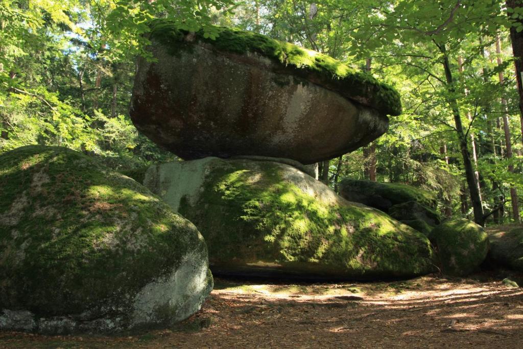 Saldenburg Pension Bergstub'N מראה חיצוני תמונה
